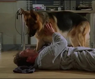 Replay Rex, chien flic - Plein gaz