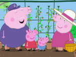 Replay Peppa Pig