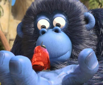 Replay Les as de la jungle à la rescousse - 13/02/2026