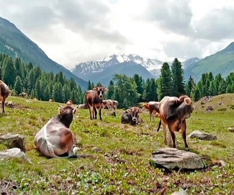 Replay Le Tyrol et les montagnes - Autriche, la nature en mouvement