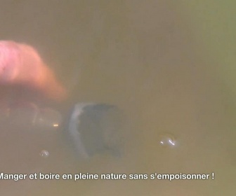 Replay E=M6 Family - Manger boire s'orienter ou faire du feu : comment survivre en pleine nature ?