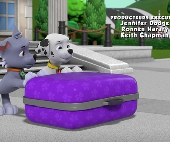Replay Paw Patrol, la Pat'Patrouille - Le trésor du Palais de Glace