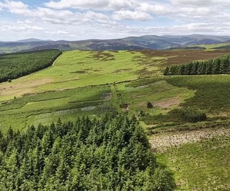 Replay ARTE Journal - Irlande : un vaste plan de reboisement
