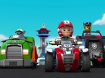 Replay Paw Patrol, la Pat'Patrouille - Surprise