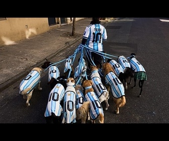 Replay Des chiens en maillot de l'Argentine: la fièvre du Mondial gagne Buenos Aires