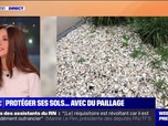 Replay Week-end première - Le paillage : protégez et embellissez votre jardin avec style