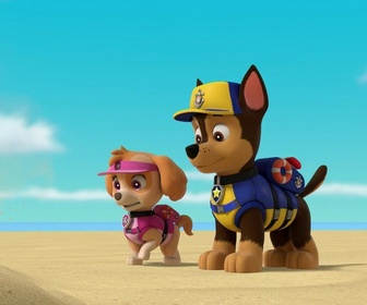 Replay Paw Patrol, la Pat'Patrouille - La Pat'Patrouille des Mers : L'île des tortues