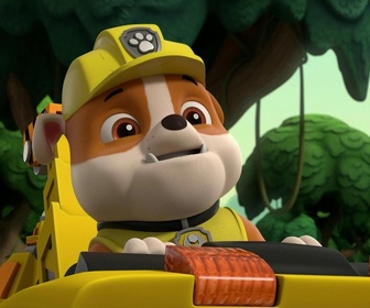 Replay Paw Patrol, la Pat'Patrouille - La course de grenouilles