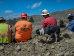 Replay Alaska, la ruée vers l'or - S7E11 - Record en or