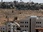 Replay Israël-Palestine : le conflit sans fin