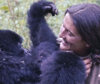 Replay Dian Fossey, la femme-gorille