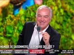 Replay Les Grandes Gueules - Un pesticide jusqu'ici interdit en France réautorisé : la loi agricole va-t-elle nous mettre en danger ?