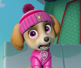 Replay Paw Patrol, la Pat'Patrouille - La Pat'Patrouille des Mers sauve la limande
