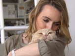 Replay La vie secrète des chats - S2E1 - Du chat des villes au chat des champs