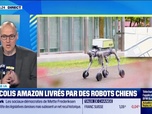 Replay Culture IA : Des colis Amazon livrés par des robots chiens, par Anthony Morel - 25/03