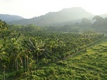 Replay Pourquoi l'Inde veut détruire une île paradisiaque ?