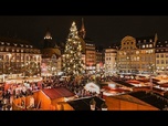 Replay Le grand sapin du marché de Noël de Strasbourg déjà installé