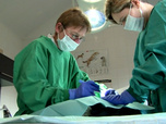 Replay Dr Cath - S1 E14