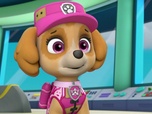 Replay Paw Patrol, la Pat'Patrouille - Sauvetage extrême : le monstre des marais