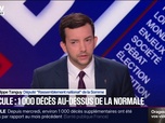 Replay BFM Politique - Canicule: La plupart de ces morts auraient pu être évitée, affirme Jean-Philippe Tanguy
