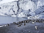 Replay Les métamorphoses du continent blanc