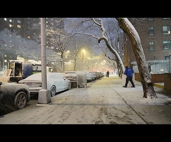 Replay Des touristes profitent de New York enneigée avant l'arrêt du trafic