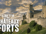 Replay L'âge d'or des châteaux forts