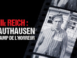 Replay IIIè Reich : Mauthausen, le camp de l'horreur