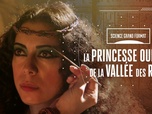 Replay Science grand format - La princesse oubliée de la Vallée des Rois