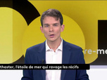 Replay Outre-mer l'actu - Outremer l'actu