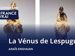 Replay La France en vrai - Occitanie - La Vénus de Lespugue, , Joconde de la Préhistoire