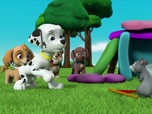 Replay Paw Patrol, la Pat'Patrouille - La maison connectée d'oncle Otis