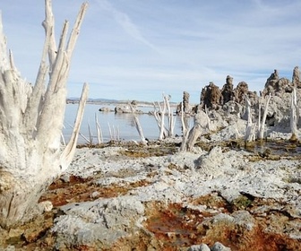 Replay L'Amérique du Nord - La valse des continents