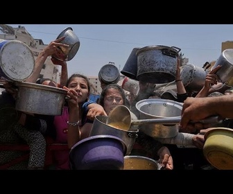 Replay Gaza : la France, l'Allemagne et le Royaume-Uni lancent un nouvel appel en faveur d'un cessez-le-feu