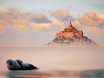 Replay Mont-Saint-Michel, la baie des merveilles - Secrets sauvages du patrimoine
