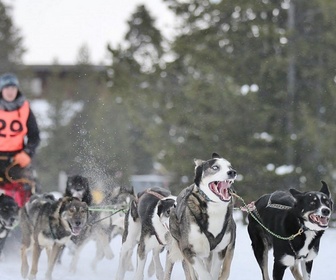 Replay Seuls face au Montana - S2E1 - Menace sur le ranch