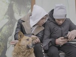 Replay Quand la politique explose la famille - Tracks East