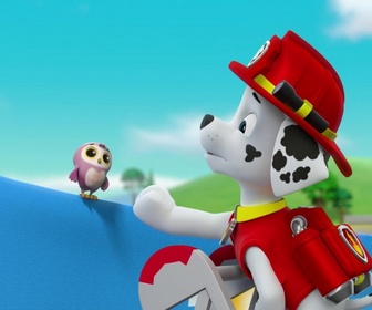 Replay Paw Patrol, la Pat'Patrouille - La grande roue