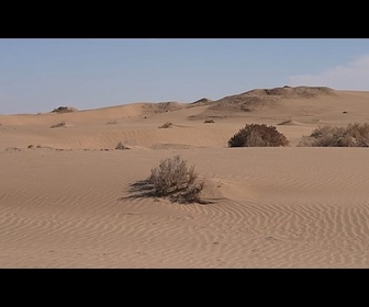 Replay Les secrets du désert : paysages anciens et traditions vivantes d'Ouzbékistan