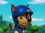 Replay Paw Patrol, la Pat'Patrouille - Mission Tout Terrain : Le spectacle de M. Hellinger