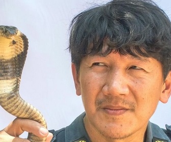 Replay Bangkok, les chasseurs de serpents - GEO Reportage