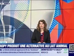 Replay Good Morning Business - French Tech : Nutropy produit une alternative au lait animal - 11/11