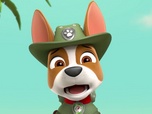 Replay Paw Patrol, la Pat'Patrouille - Tracker, le Ranger de la jungle - (26')