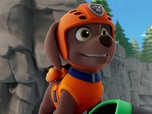 Replay Paw Patrol, la Pat'Patrouille - Les surfeurs des montagnes