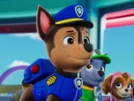 Replay Paw Patrol, la Pat'Patrouille - Le bébé géant