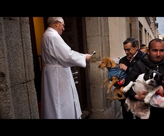 Replay Chiens et chats bénis à l'eau bénite à Madrid