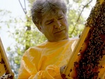 Replay Italie, l'abeille noire de Sicile - Les maîtres des abeilles