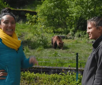 Replay C'est toujours pas sorcier - 12/02/2026