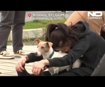 Replay Bruxelles a accueilli son premier Woofstock , un festival dédié aux chiens.