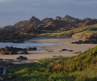 Replay Sur l'île des ornithorynques - La Tasmanie sauvage